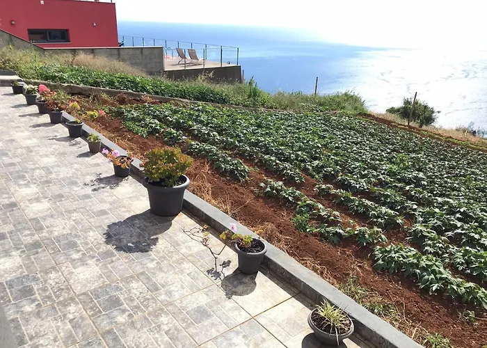 Semesterbostad Palheirinho Da Achada *